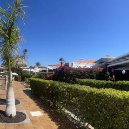 מספאלומס Bungalow Verdemar Maspalomas מראה חיצוני תמונה